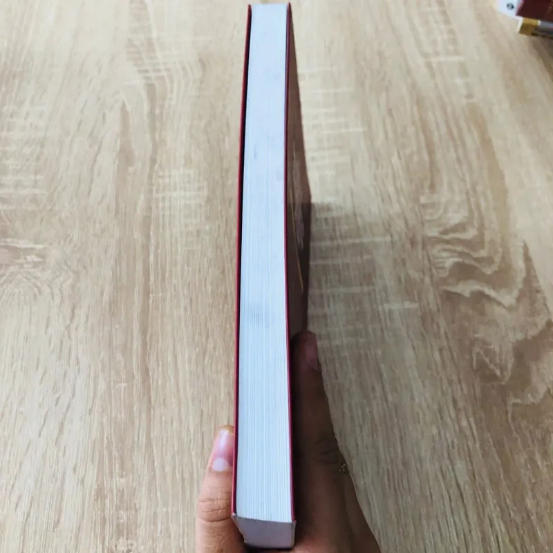 CHÍNH PHỦ CÁCH MẠNG LÂM THỜI CỘNG HÒA MIỀN NAM VIỆT NAM  975817