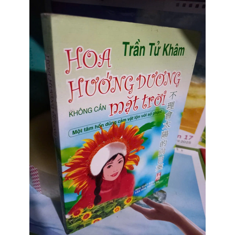 hoa hướng dương không cần mặt trời 461826