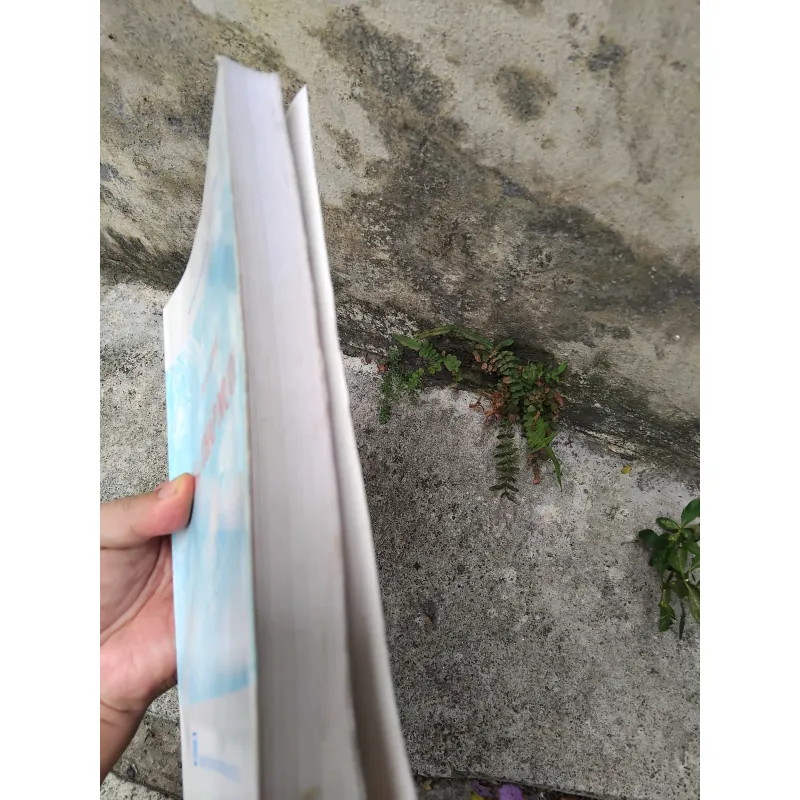 Địa chí Đồng Tháp Mười  1030146