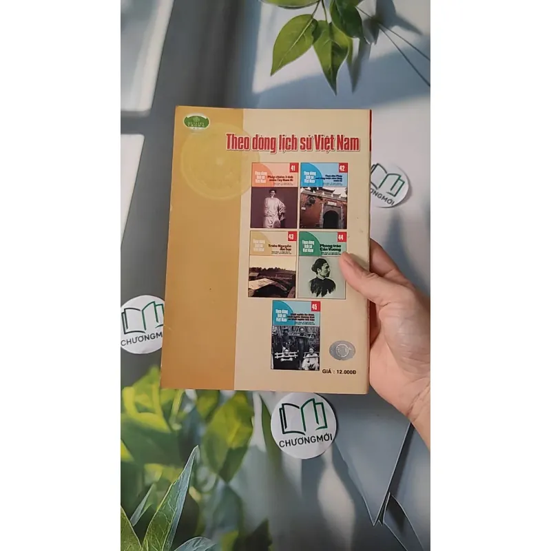 Theo Dòng Lịch Sử Việt Nam - Triều Nguyễn Đại Bại 43 - Lý Thái Thuận 970239
