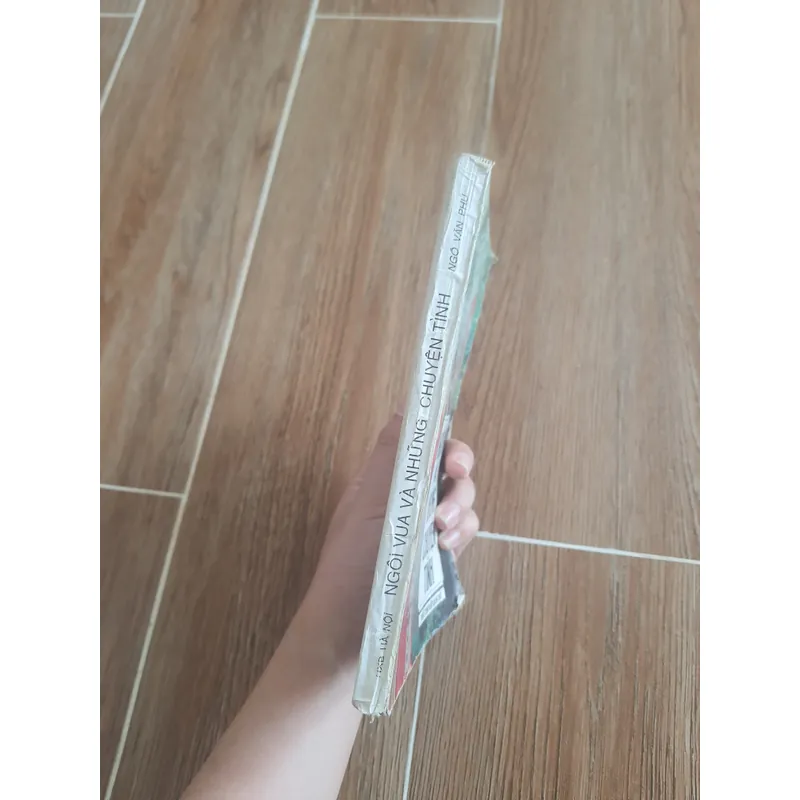 Tiểu thuyết lịch sử Ngôi Vua và Những Chuyện Tình - Ngô Văn Phú 👣 688246