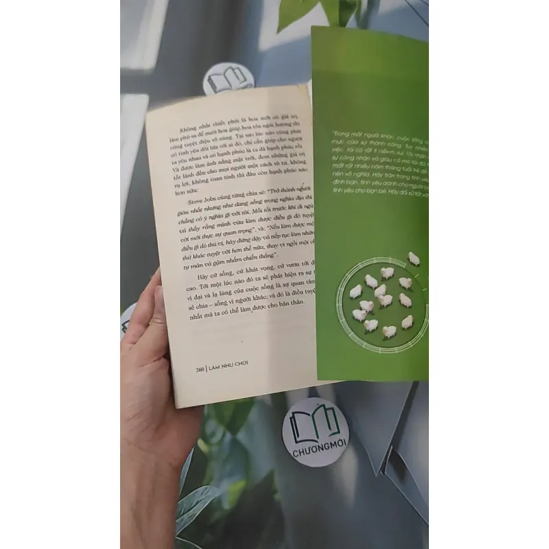 Làm Như Chơi - Minh Niệm 961252