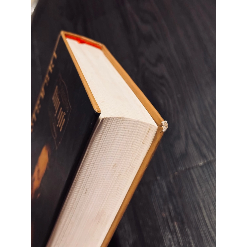 Chàng ngốc (bìa cứng, đọc mô tả) 537181