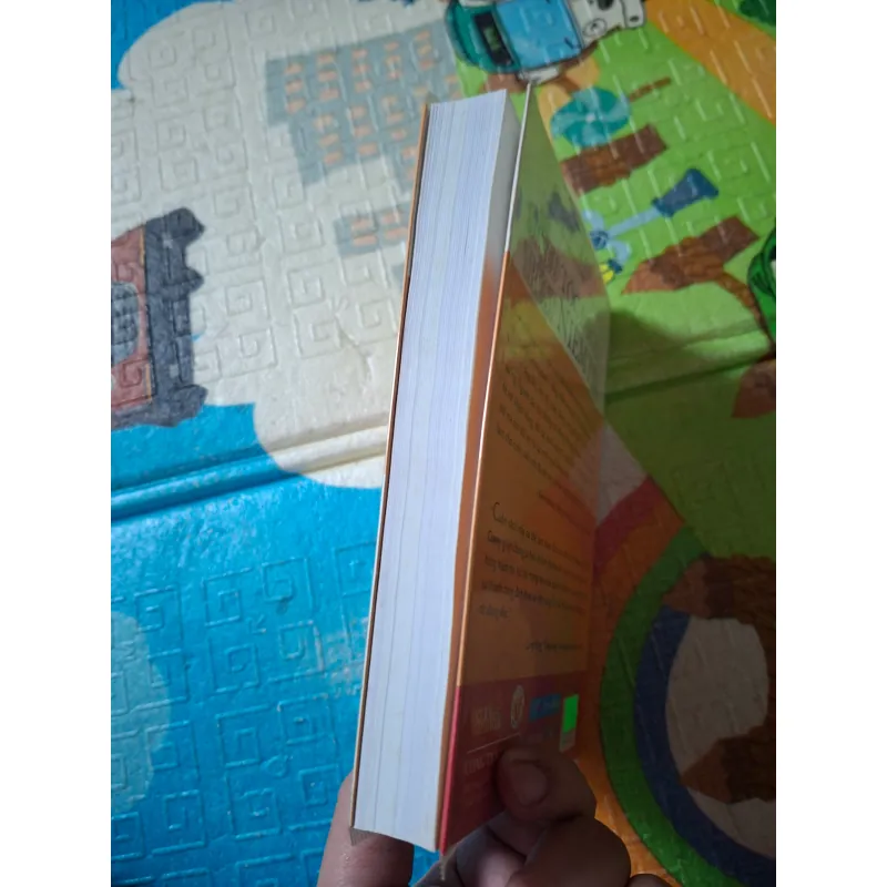 Tốc độ của Niềm tin (The Speed of Trust) 797555