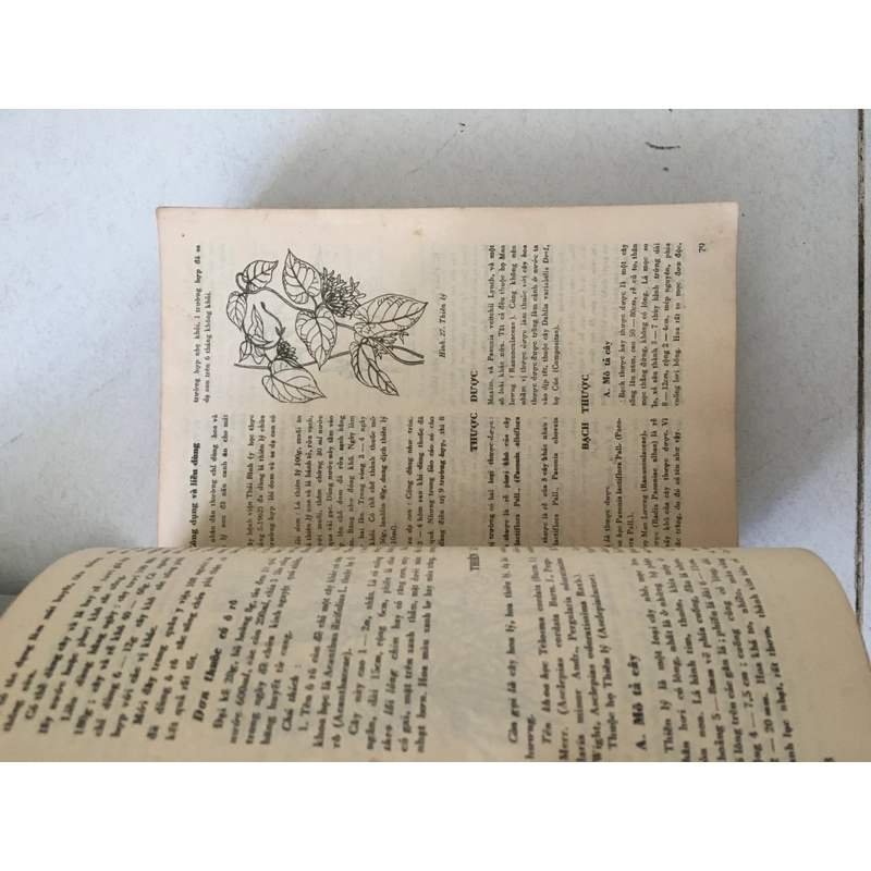 Những cây thuốc và vị thuốc Việt Nam - Đỗ Tất Lợi  (1986) 500075