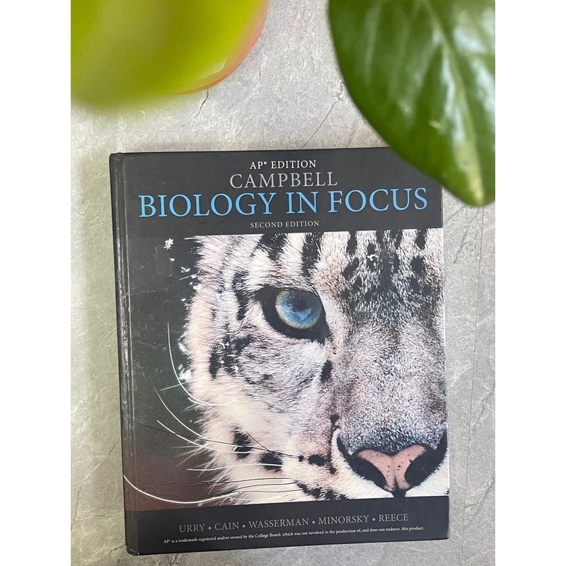 Biology in focus 313073