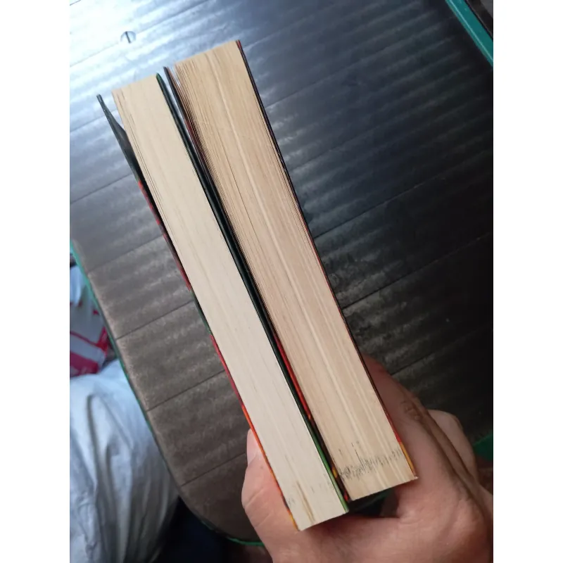 Đại ca 1&2 ( Phần 2 bộ Cậu bé cưỡi rồng) 996945