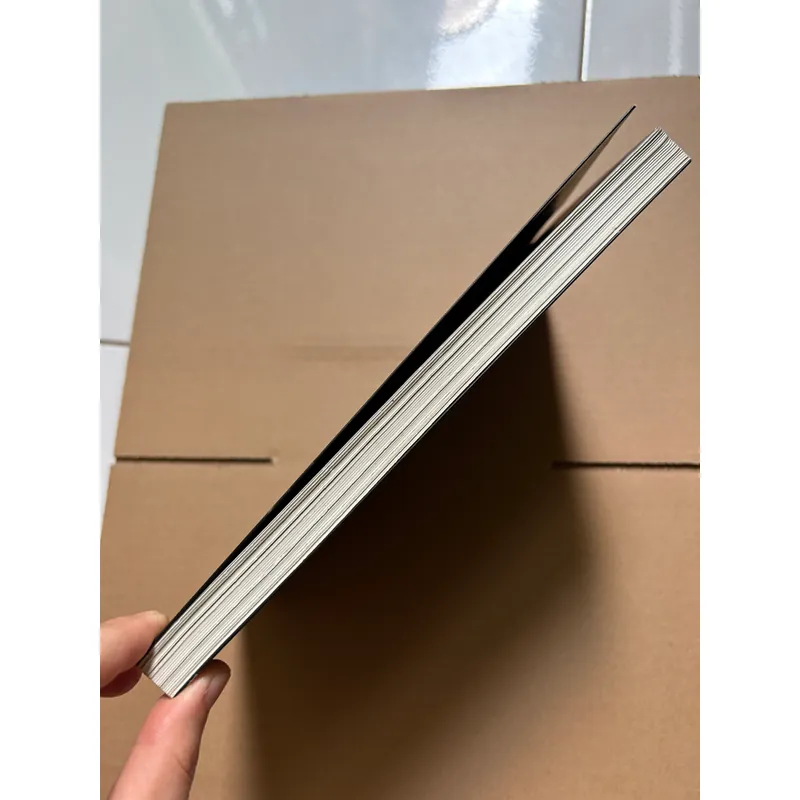 Bí mật tỷ đô - Rafael Badziag 736962