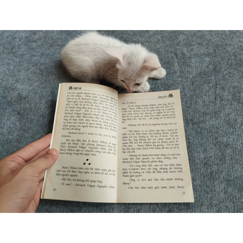 MẬT SỨ - LÂM HÀ 567801