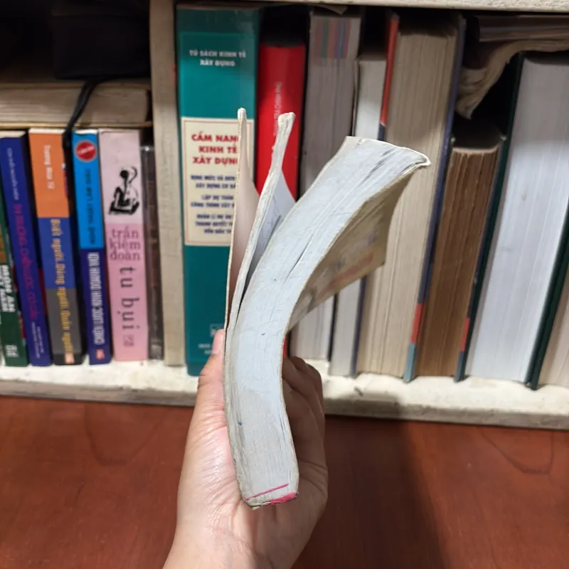 II Tiếng Trung: 301 Câu Đàm Thoại Tiếng Hoa - Trương Văn Giới, Lê Khắc Kiều Lục - 2015 756722