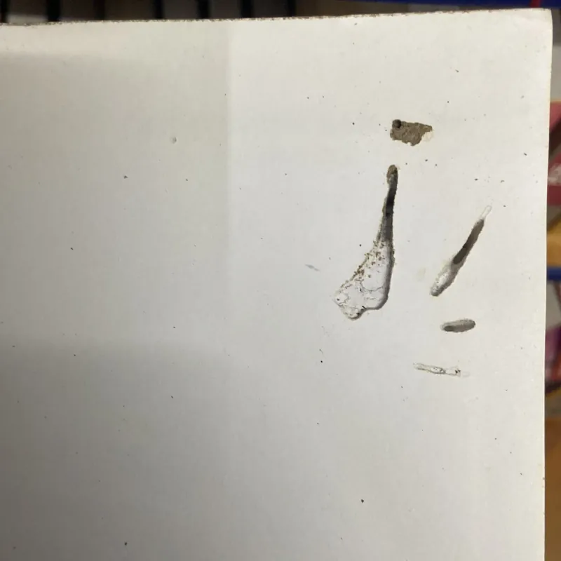 Khởi nghĩa Lam Sơn (1418-1427) 554757