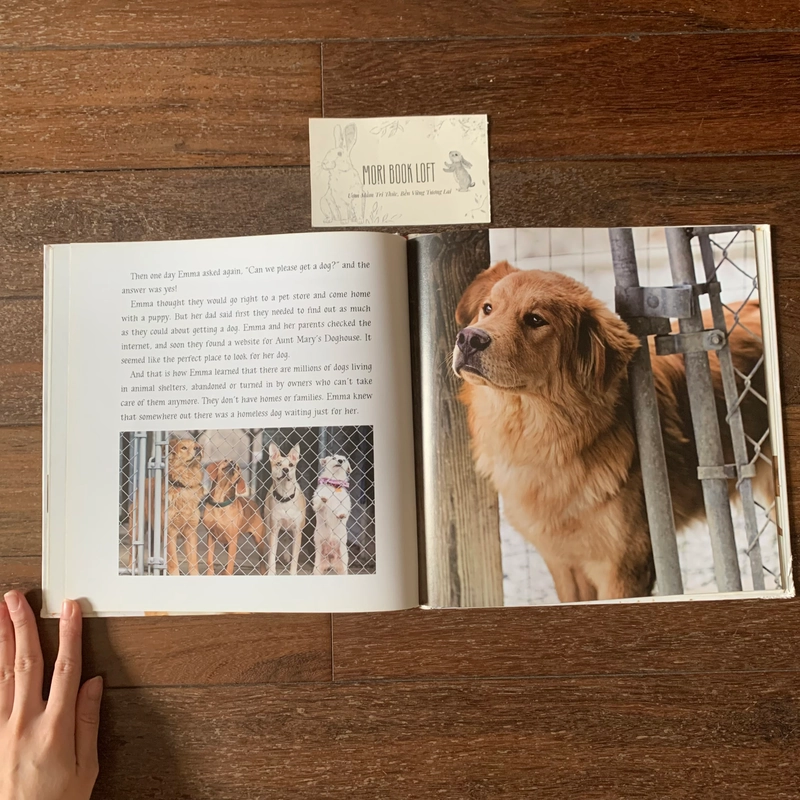 Sách A Home for Dixie: The True Story of a Rescued Puppy, Used, Bìa Cứng, Khổ Lớn 498026