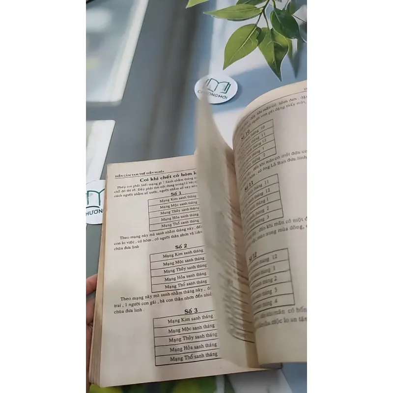 [MIỄN PHÍ BỌC SÁCH] Diện Cẩm Tam Thế - Dương Công Hầu 727288