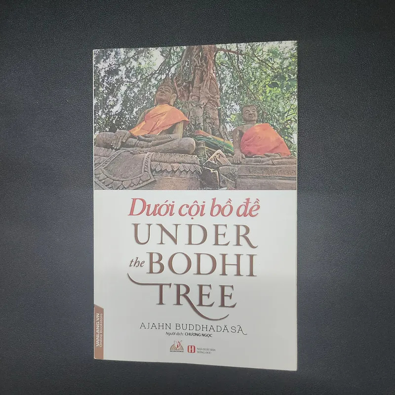 Dưới cội bồ đề - Ajahn Buddhadasa 689617