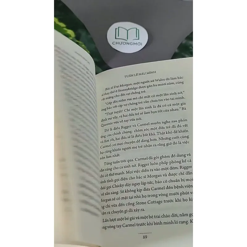 Tuần Lê Náu Mình (2017) - Maeve Binchy 604469