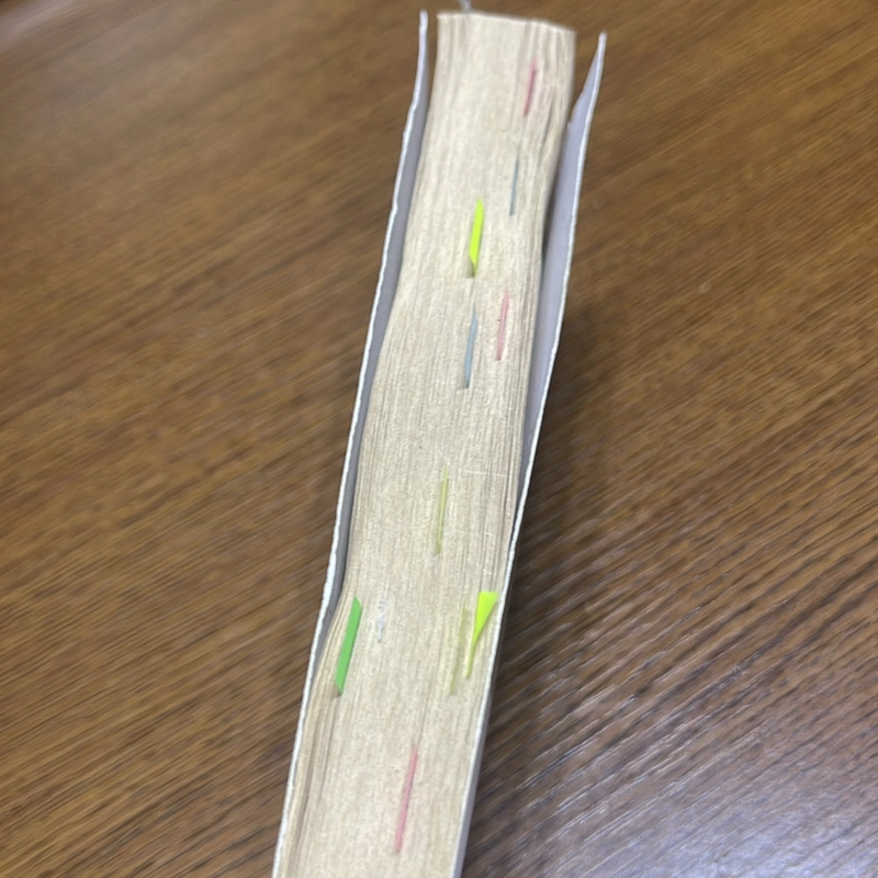 Little women Louisa May Alcott 493550