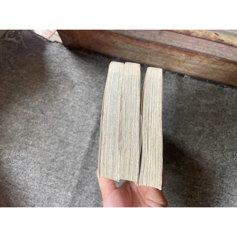 Truyện Đuôi ngựa xinh - Trọn bộ 3 tập - NXB Kim Đồng 728978