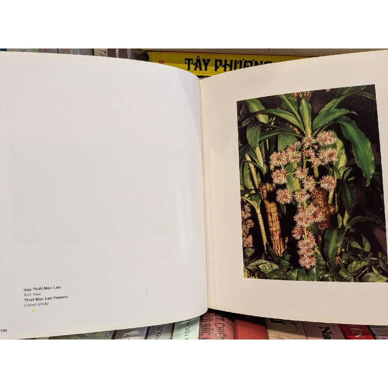 Ký ức thời gian - Đặng Ái Việt, Phạm Khắc 270748