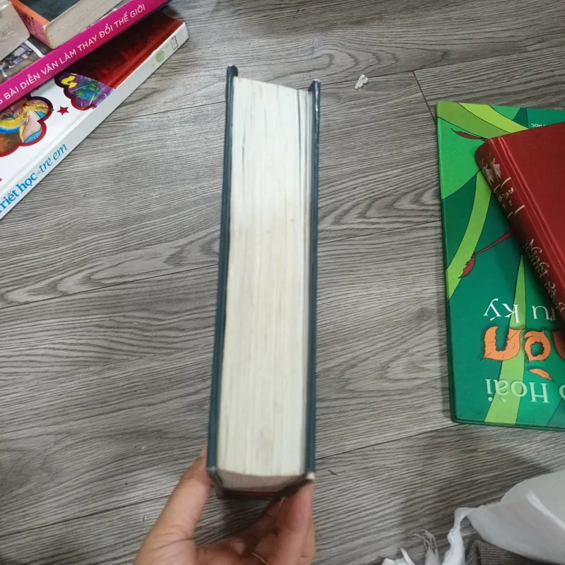 Mẫu Thượng Ngàn- Nguyễn Xuân Khánh 647044