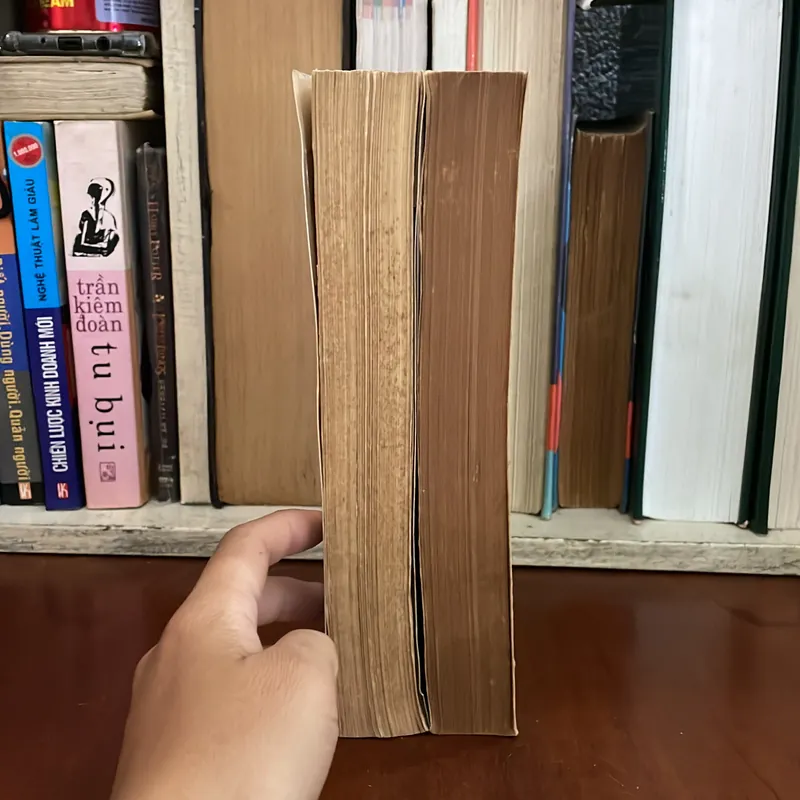 Sách Phật Giáo: Kinh Đại Bát Niết Bàn (Trọn bộ 2 Tập) - Hoà Thượng Thích Trí Tịnh - 1991 578092