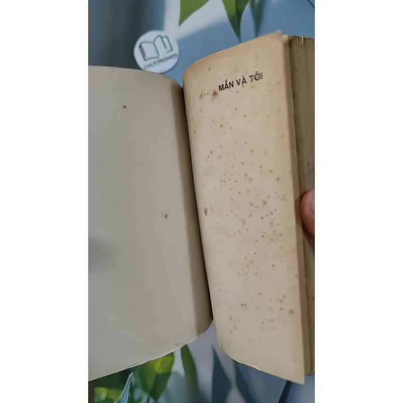 [XƯA] Mẫn Và Tôi (1995) - Phan Tứ 798303