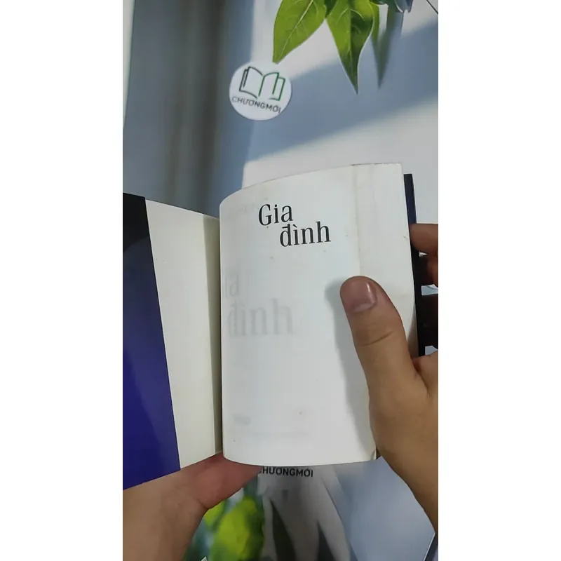 Gia đình - Khái Hưng 798497