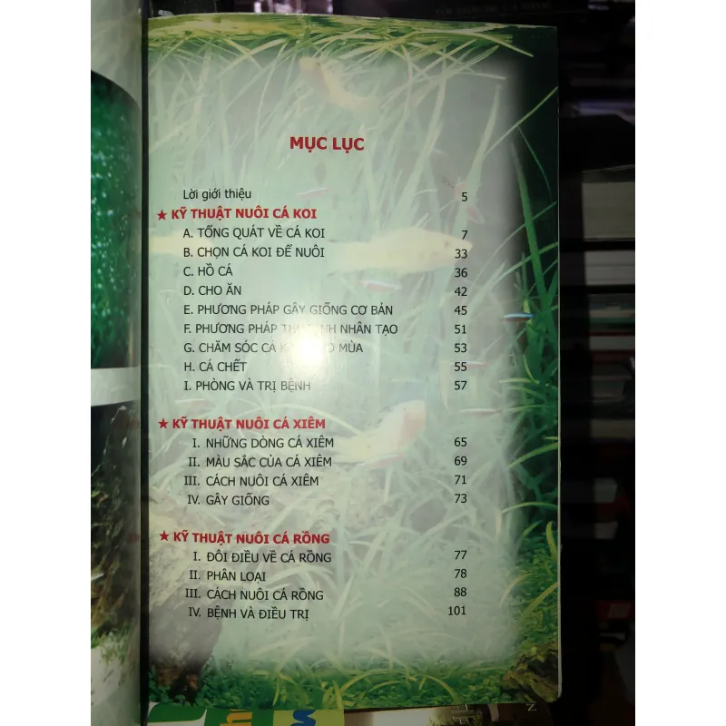Kỹ thuật nuôi cá chép Koi - cá xiêm - cá rồng - cá dĩa - cá vàng - cá bảy màu 745842