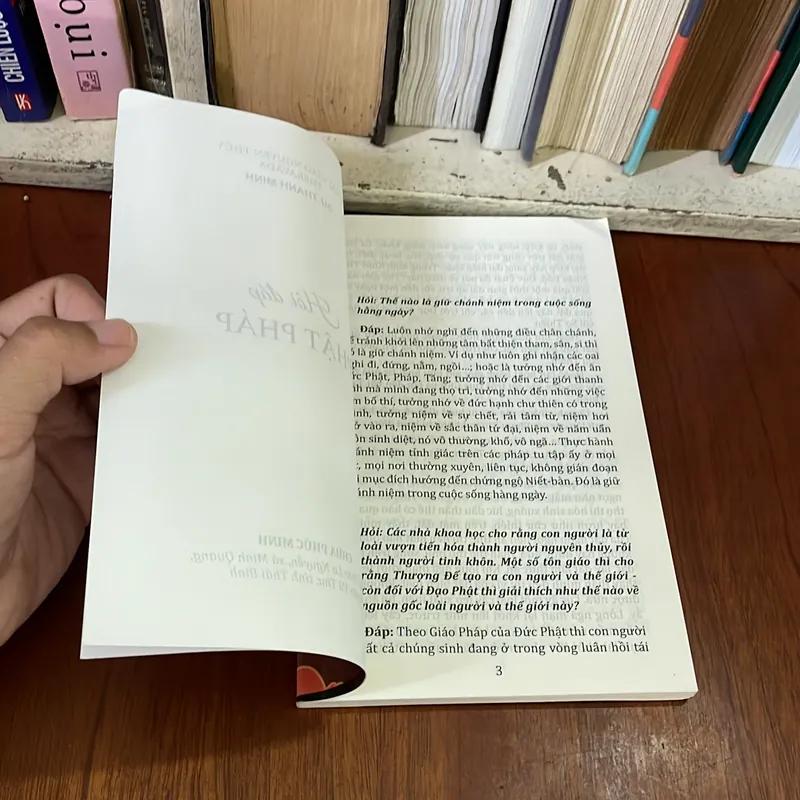 II Sách Phật Giáo: Hỏi Đáp Phật Pháp - Phật Giáo Nguyên Thuỷ THERAVADA - Sư Thanh Minh 574575