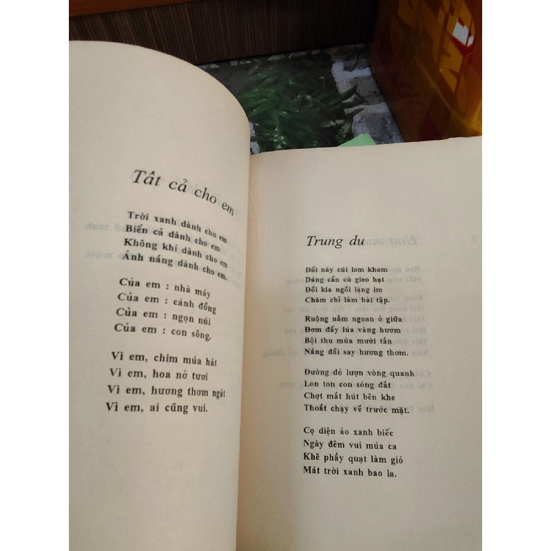 Tắc kè hoa - Phạm Đình Ân 1028047