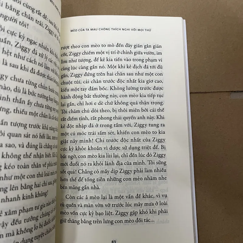 thong dong như chú mèo hóng nắng bên hiên  569514