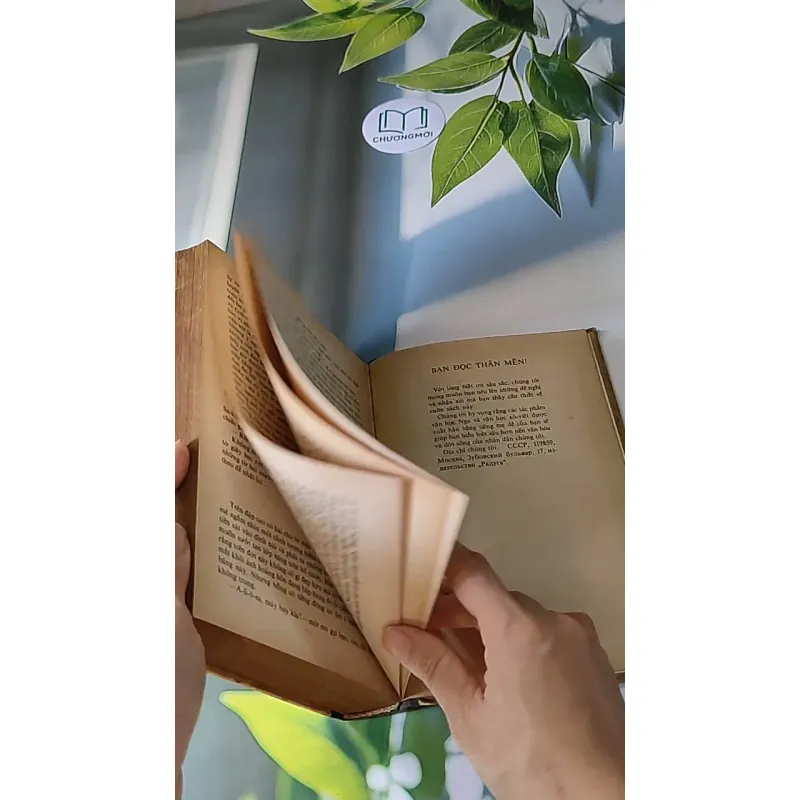 Người Thay Thế Chưa Tới (1986) - Nikolai Kambulev 607724