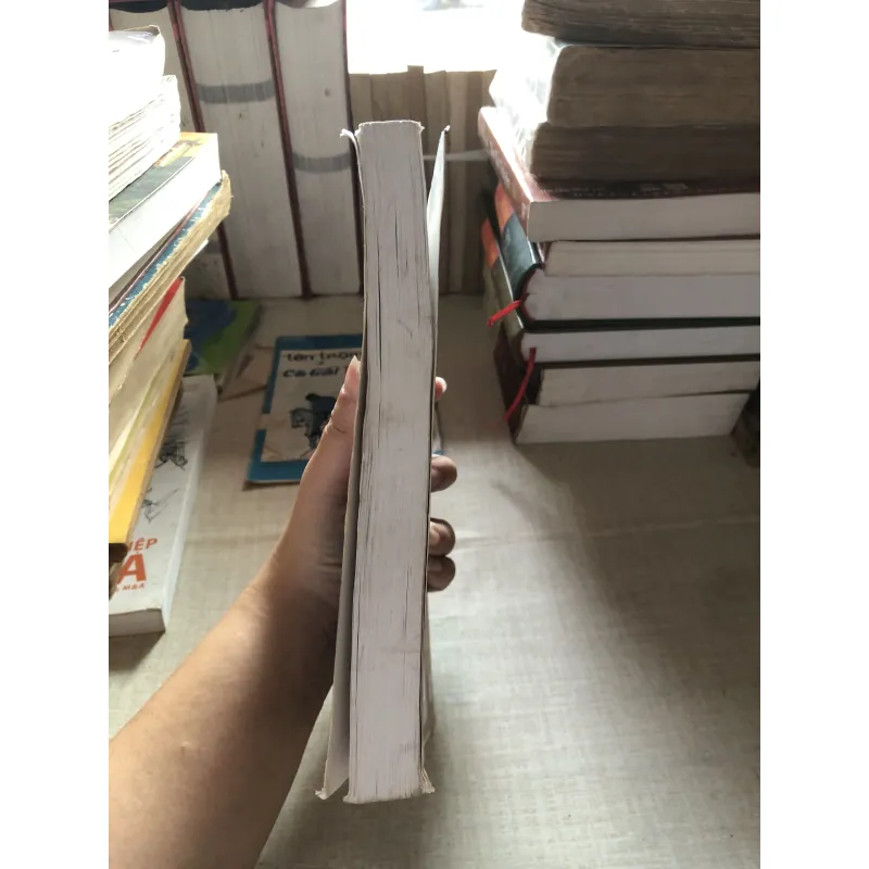 Tiểu thuyết Pháp bên thềm thế kỷ XXI 993269