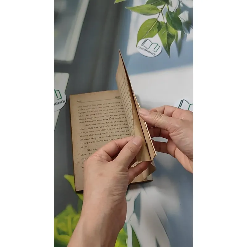 [XƯA] Cánh Bướm (1989) - Từ Kế Tường 776073