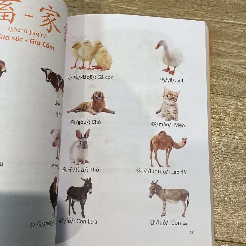 CÂU CHUYỆN CHỮ HÁN, THẾ GIỚI ĐỘNG VẬT, sách in màu minh họa đẹp 797838