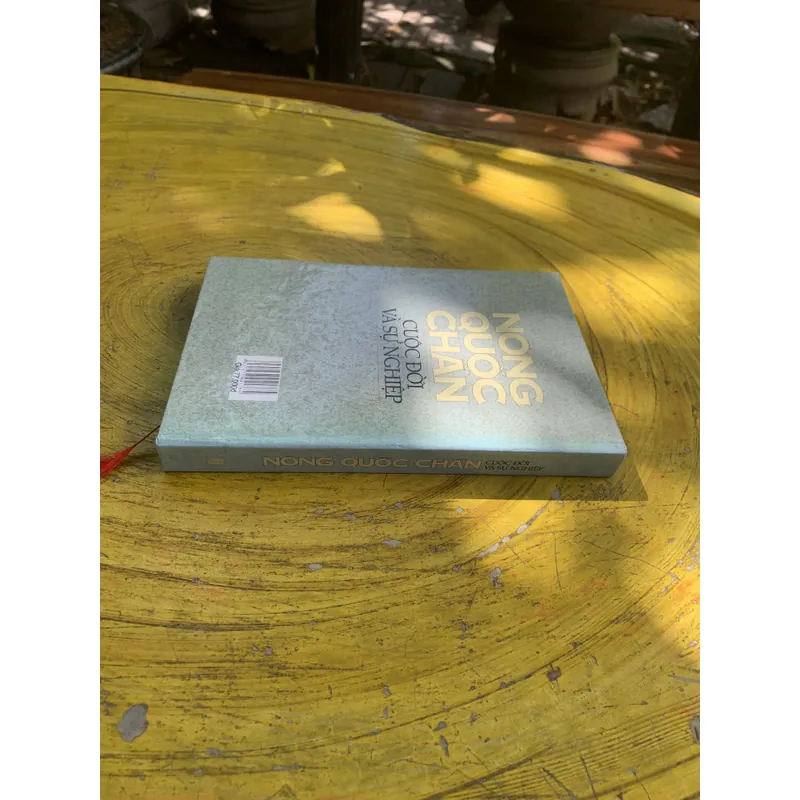 NÔNG QUỐC CHẤN - CUỘC ĐỜI VÀ SỰ NGHIỆP 738362