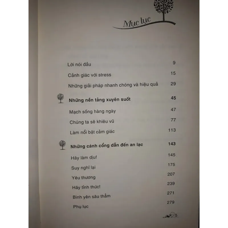 Những con đường tắt đến tâm an lạc 697862