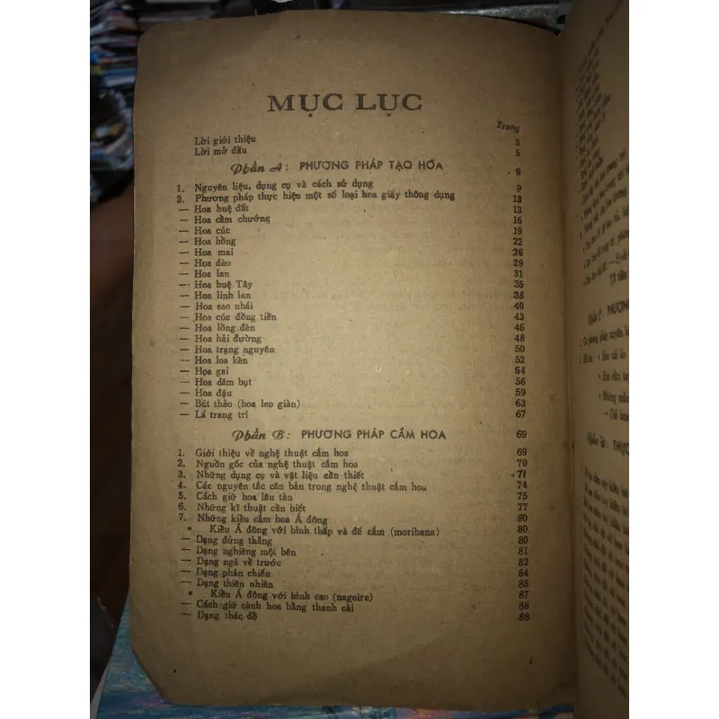 Thực hành hoa trang trí - Triệu Thị Chơi  976375