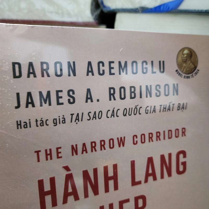 Hành lang hẹp nhà nước, xã hội, và vận mệnh của tự do | Daron Acemoglu. J. Robinson 551553