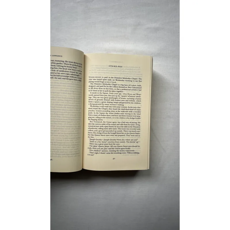 Collected Stories - D. H. Lawrence 1028921