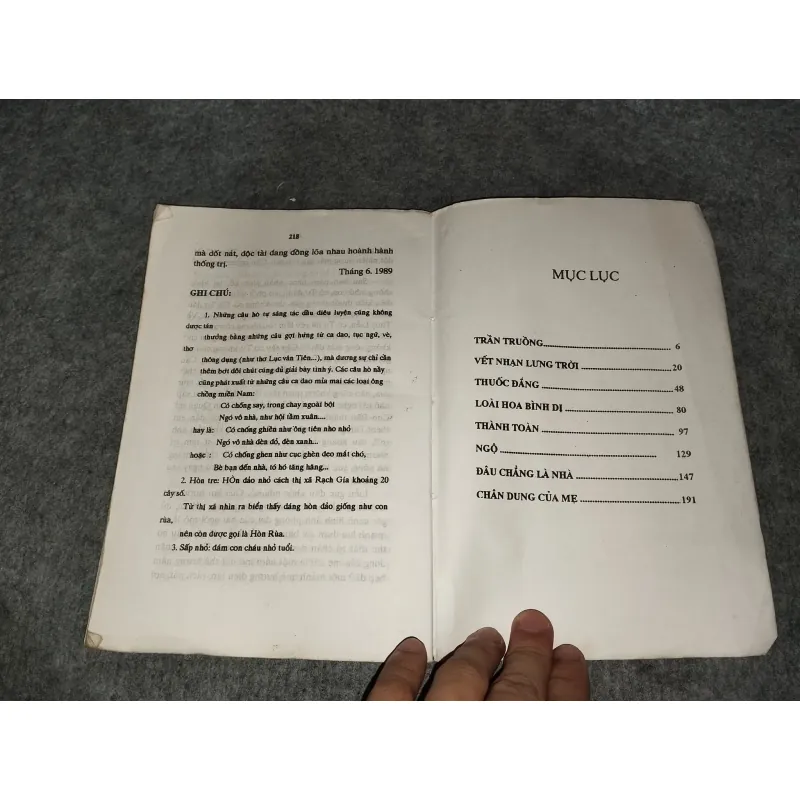 VẾT NHẠN LƯNG TRỜI - HUỲNH TRUNG CHÁNH 570800
