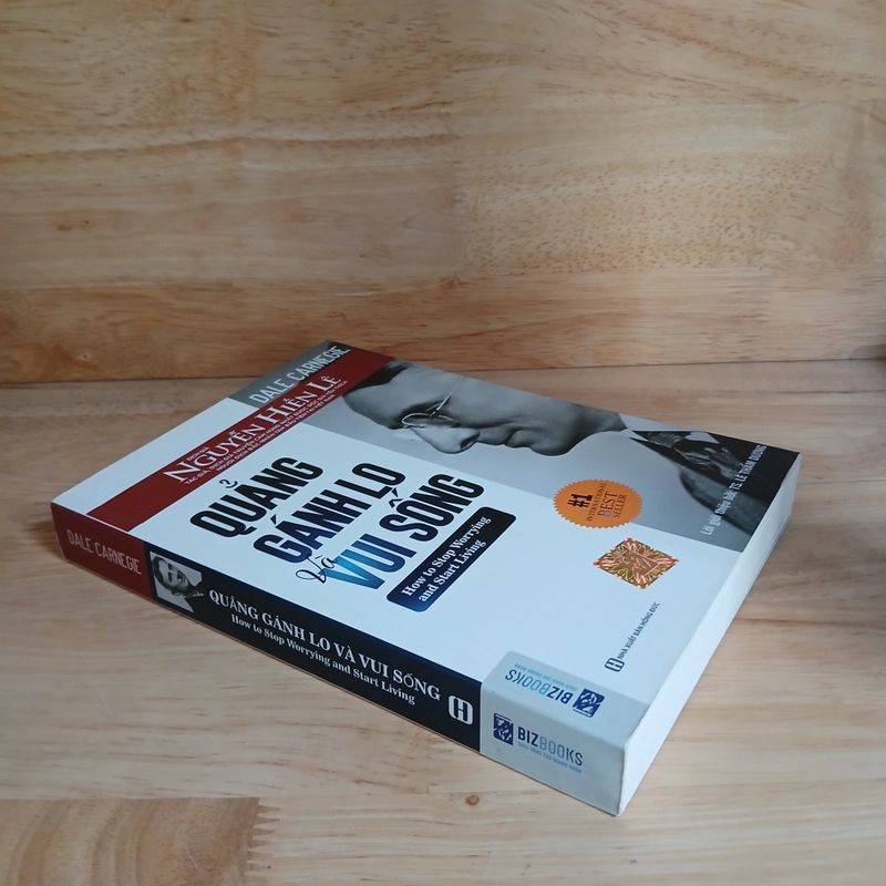 Quẳng Gánh Lo Và Vui Sống - Dale Carnegie 538435