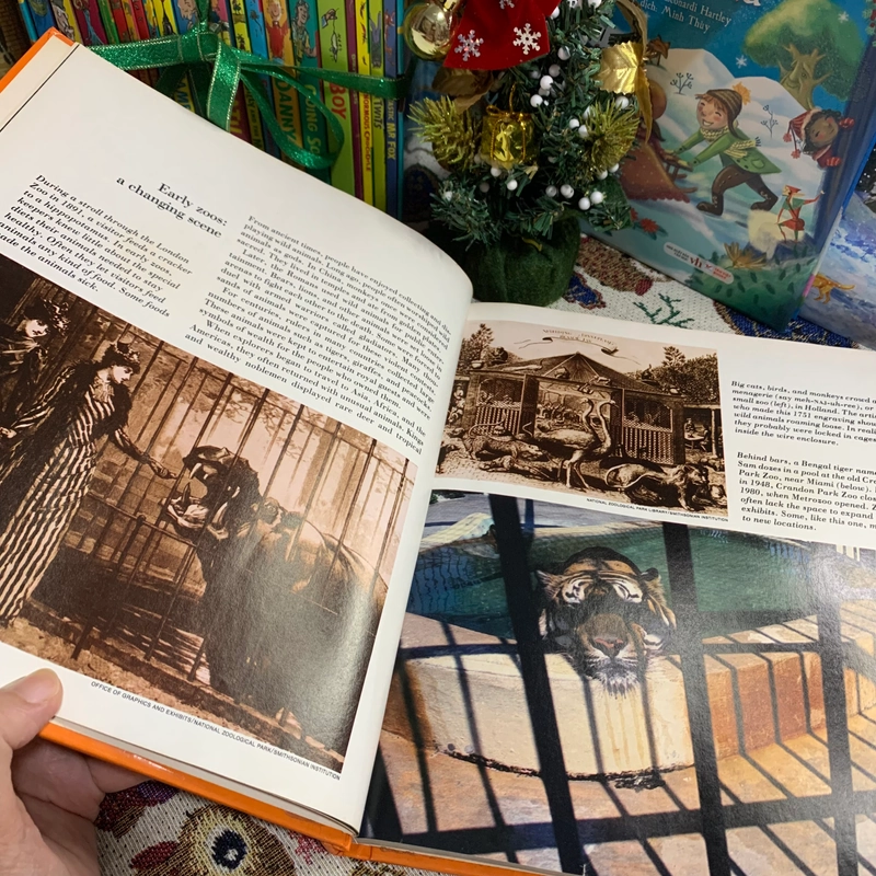 Sách tranh tiếng anh Zoos Without Cages (World Explorers Series 2), Used, Bìa cứng 335309