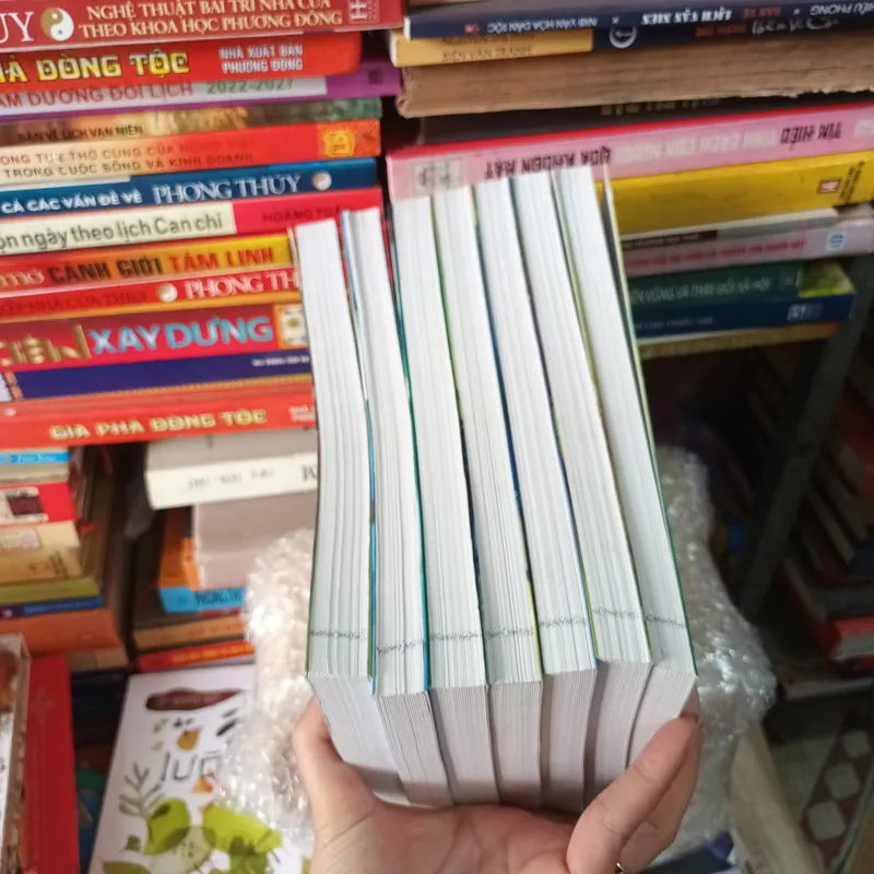 Côn Luâ - Phượng Ca 739135