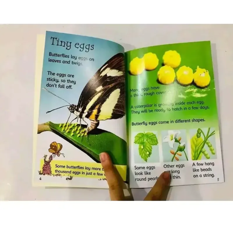 Sách - Usborne Beginners nature 10 cuốn full boxser, full color, usborne nature 1034037
