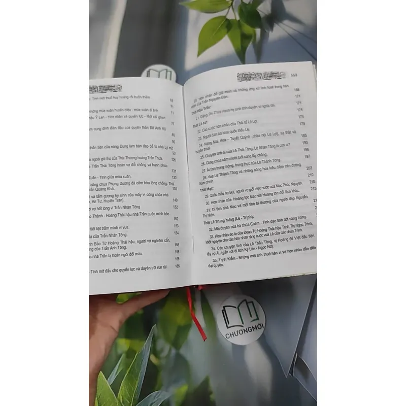 Chuyện Tình Vua Chúa Hoàng Tộc Việt Nam - Đinh Công Vĩ 990453