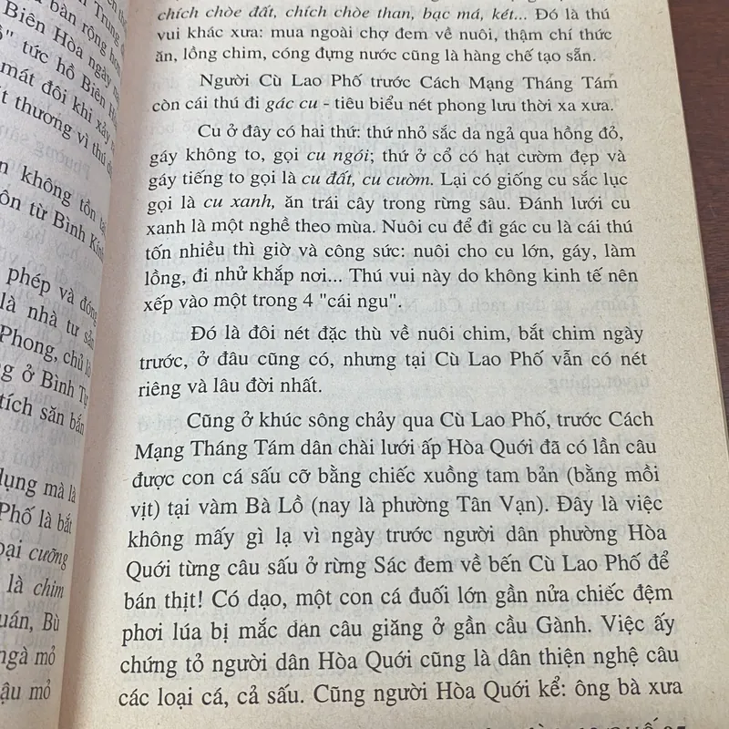 CÙ LAO PHỐ - LỊCH SỬ VÀ VĂN HÓA 602990
