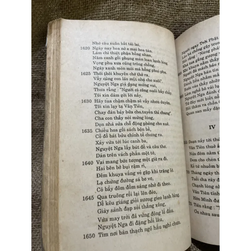 Nguyễn Đình Chiểu - lục vân tiên 999370