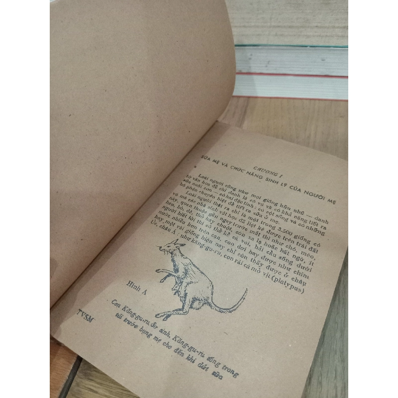 Trông vào sữa mẹ - BS. Nguyễn Lân Đính 736987