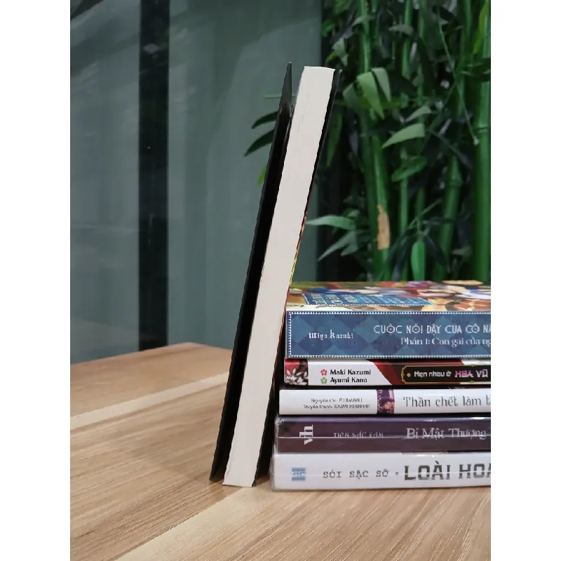 Dã Thú Đỗ Thành – Abiko Takemaru 553522