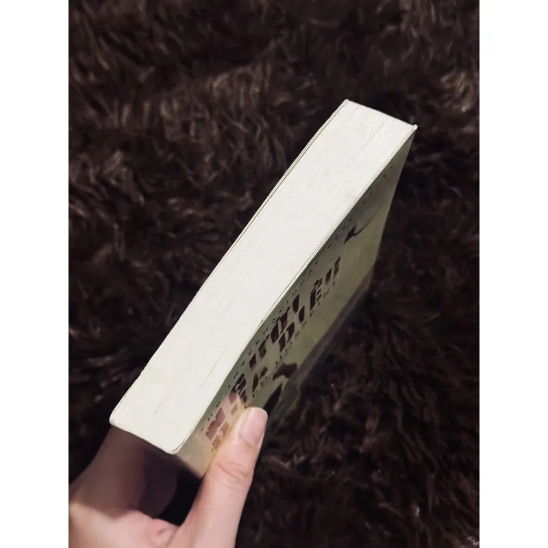 Người đua diều 714609